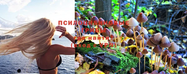 марихуана Абинск