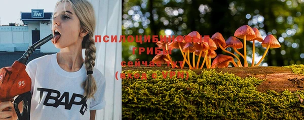 скорость Абаза