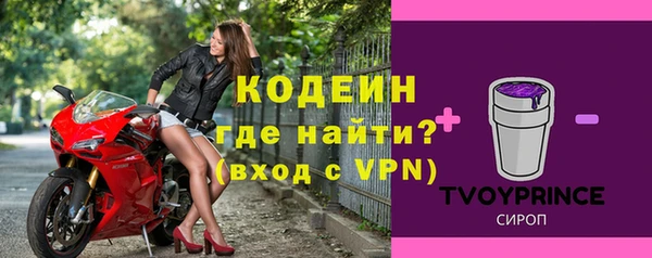 молекула духа Алексин