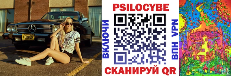 Псилоцибиновые грибы Psilocybine cubensis  Брюховецкая 
